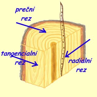 Kosi lesa